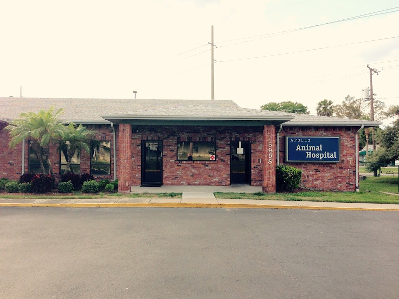 Photo of Apollo Beach Animal Hospital