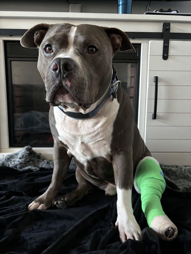 Apollo Beach Animal Hospital photo 4