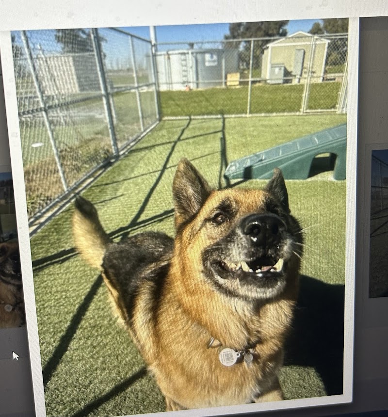 Happy Paws Kennels, Inc. photo 2