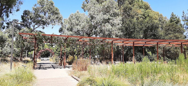 Arboretum Terrace Garden and Lois Crowe Patio photo 2