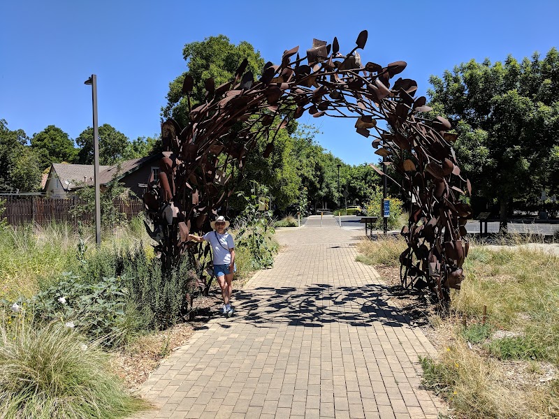 Arboretum Terrace Garden and Lois Crowe Patio photo 3