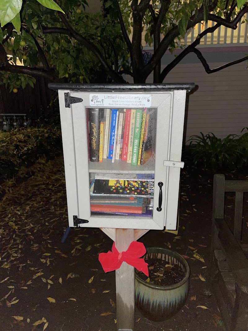 Photo of Little Free Library
