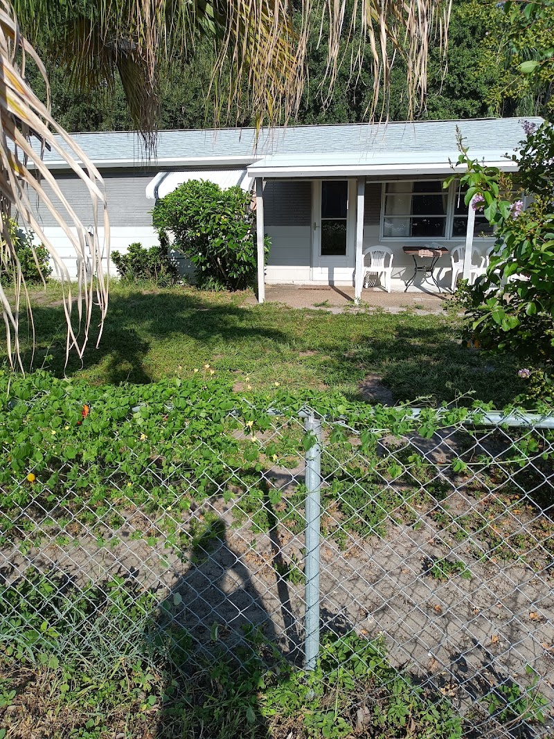 Dunedin Roofing Inc. photo 4
