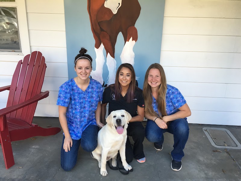 Healdsburg Veterinary Hospital photo 4