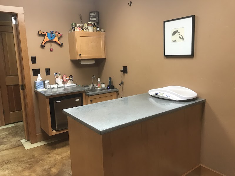 Healdsburg Veterinary Hospital photo 3