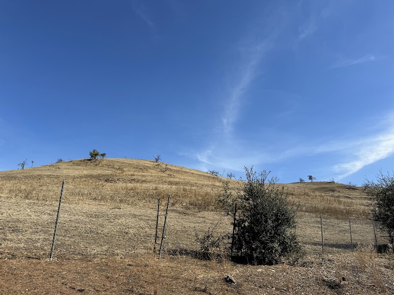 Seven Hills Park photo 4