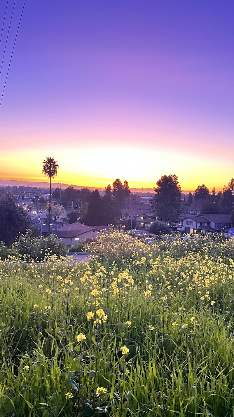 Seven Hills Park photo 3