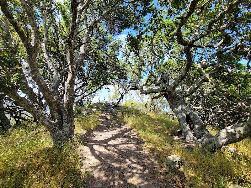 Phyllis Ellman Trailhead photo 5