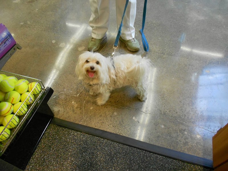 Pet Food Express photo 3