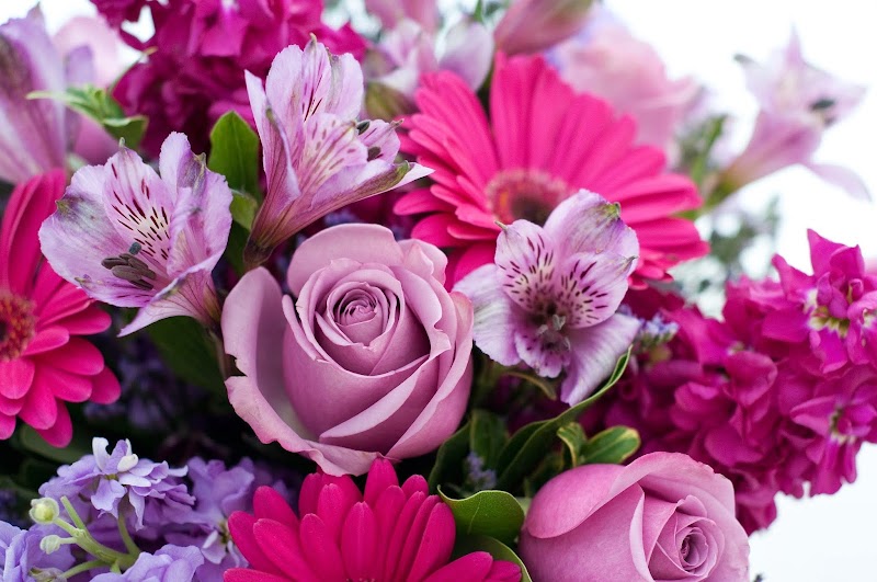 Cactus Flower Florists photo 2