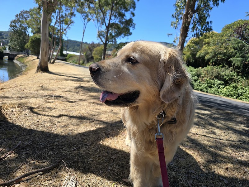 Zenful Pet Care photo 3
