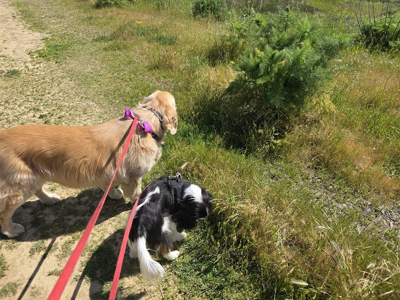 Photo of Zenful Pet Care