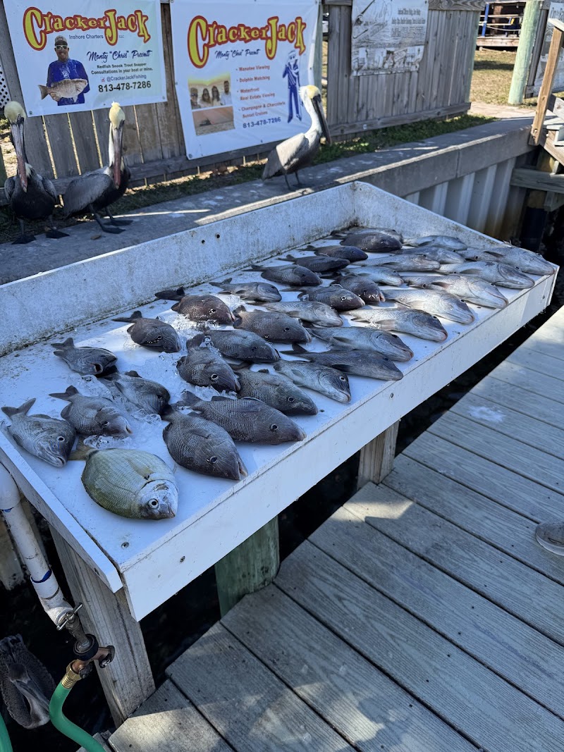 Apollo Beach Fishing Charters photo 3
