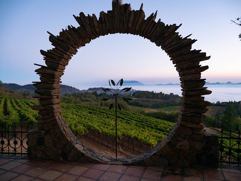 Photo of Paloma Vineyard