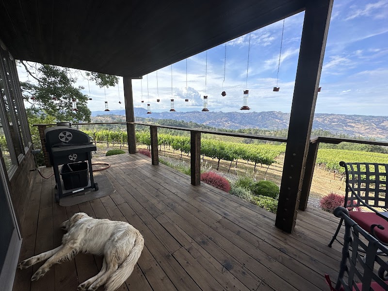 Paloma Vineyard photo 3