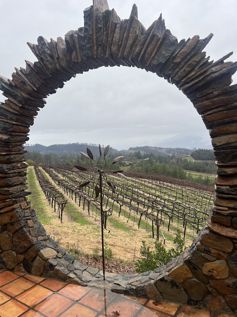 Paloma Vineyard photo 4