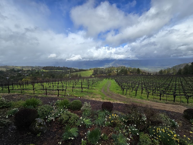 Paloma Vineyard photo 2