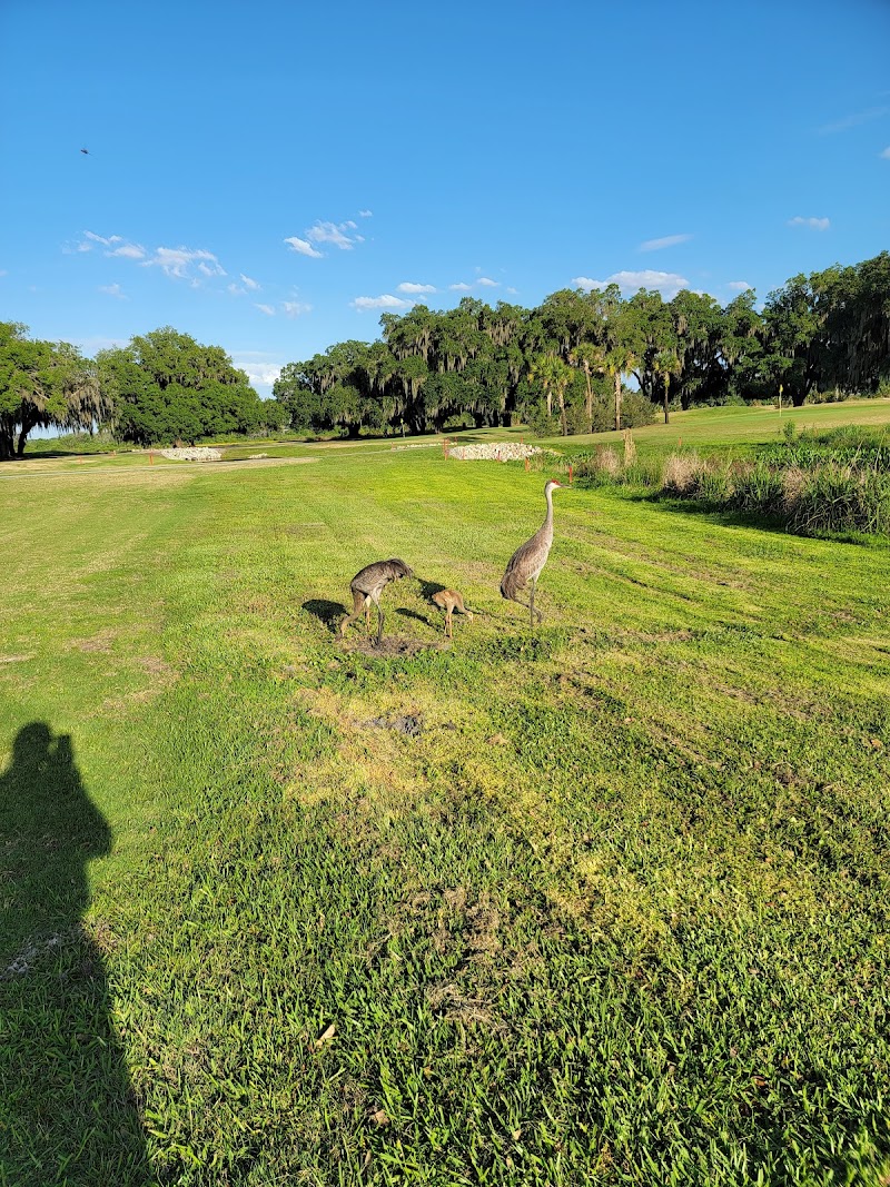 Marsh View Pitch & Putt Executive Golf Course photo 5