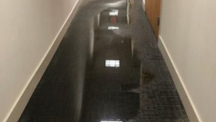 Photo of OZIL Water Restorations Land O' Lakes