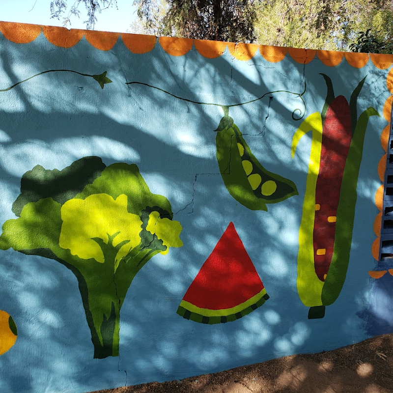 Presidio Community Garden photo 2