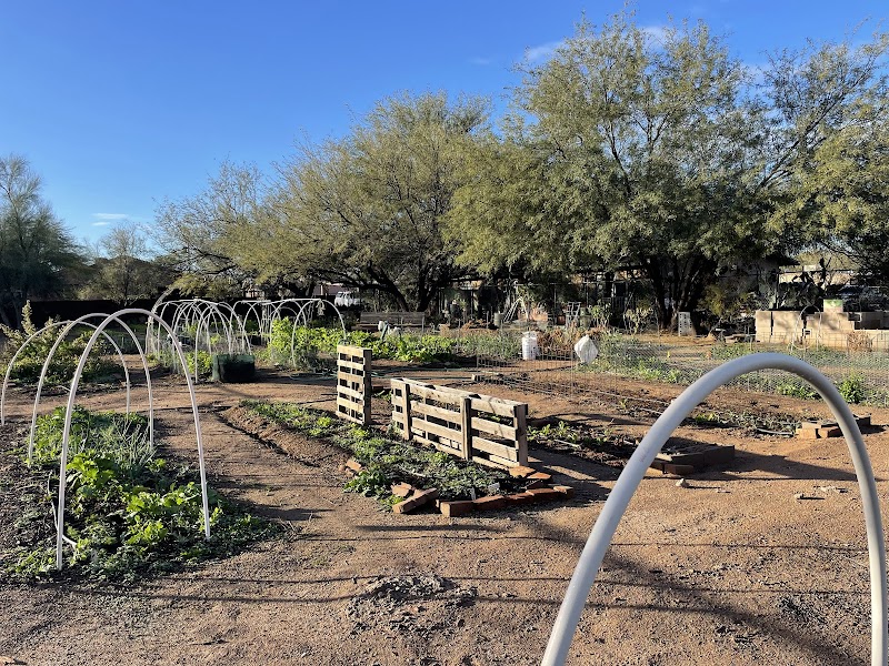 Photo of Presidio Community Garden