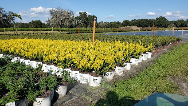 Hibernia Nursery photo 4