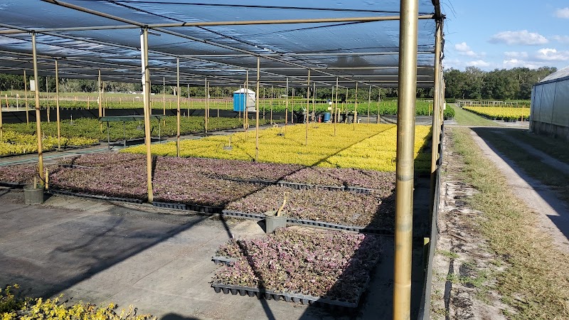 Hibernia Nursery photo 3