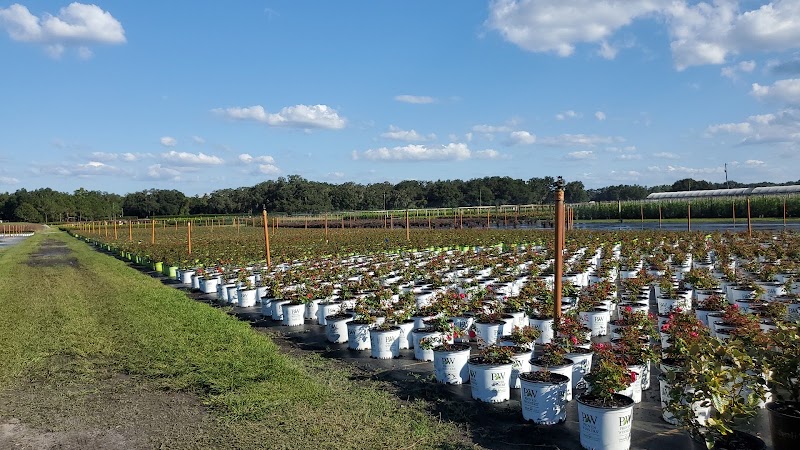 Hibernia Nursery photo 2
