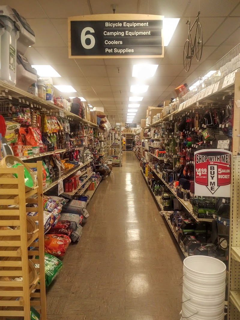 Bill's Ace Hardware photo 2