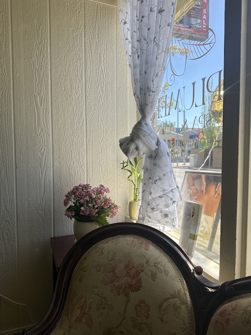 Plumeria Spa & Massage photo 5