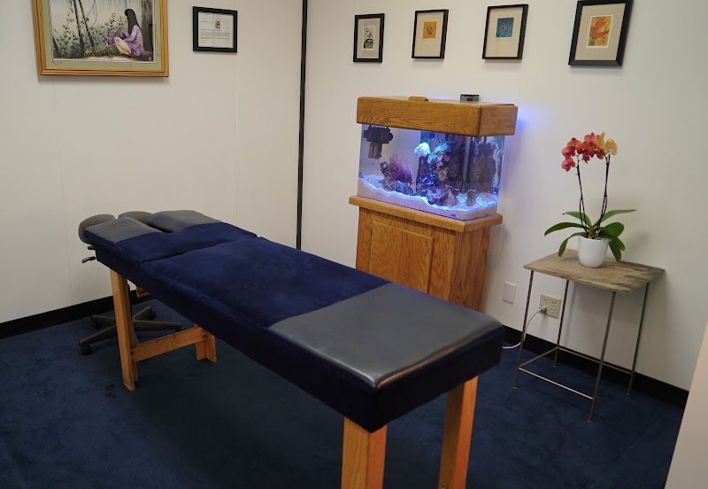Shapero Chiropractic photo 3