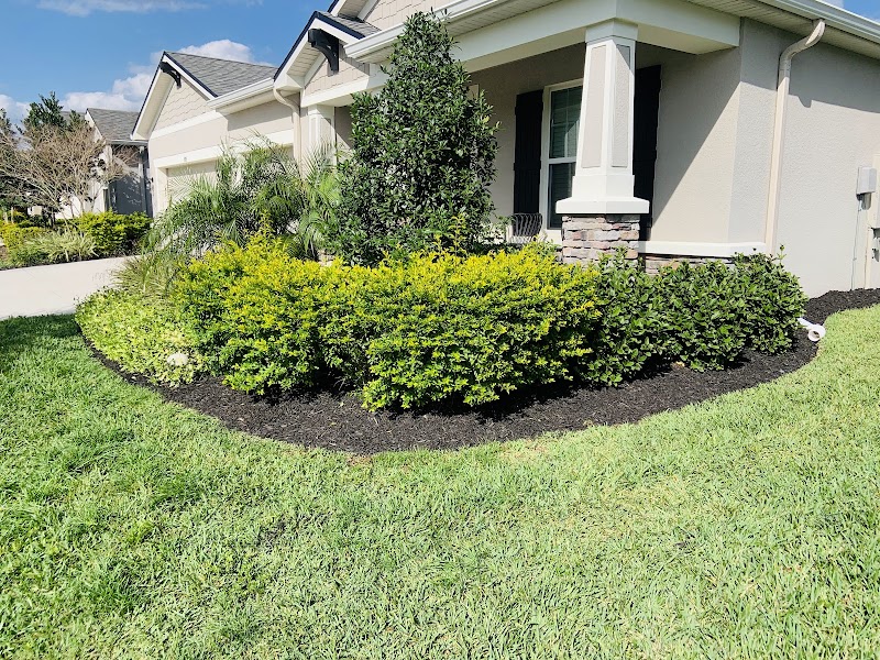 All Trusted Lawn Care photo 2