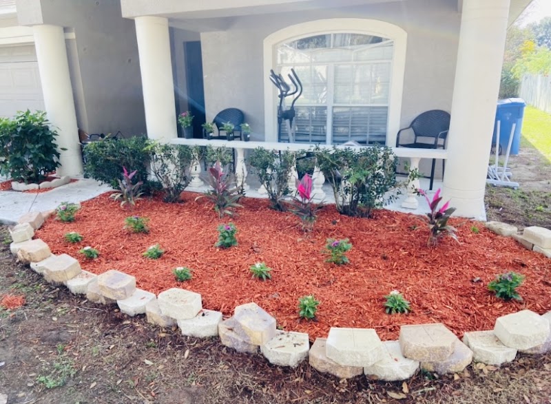 All Trusted Lawn Care photo 4