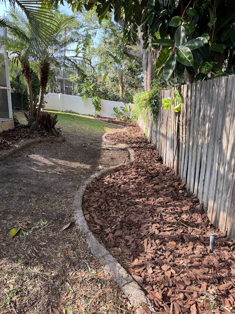 All Trusted Lawn Care photo 3