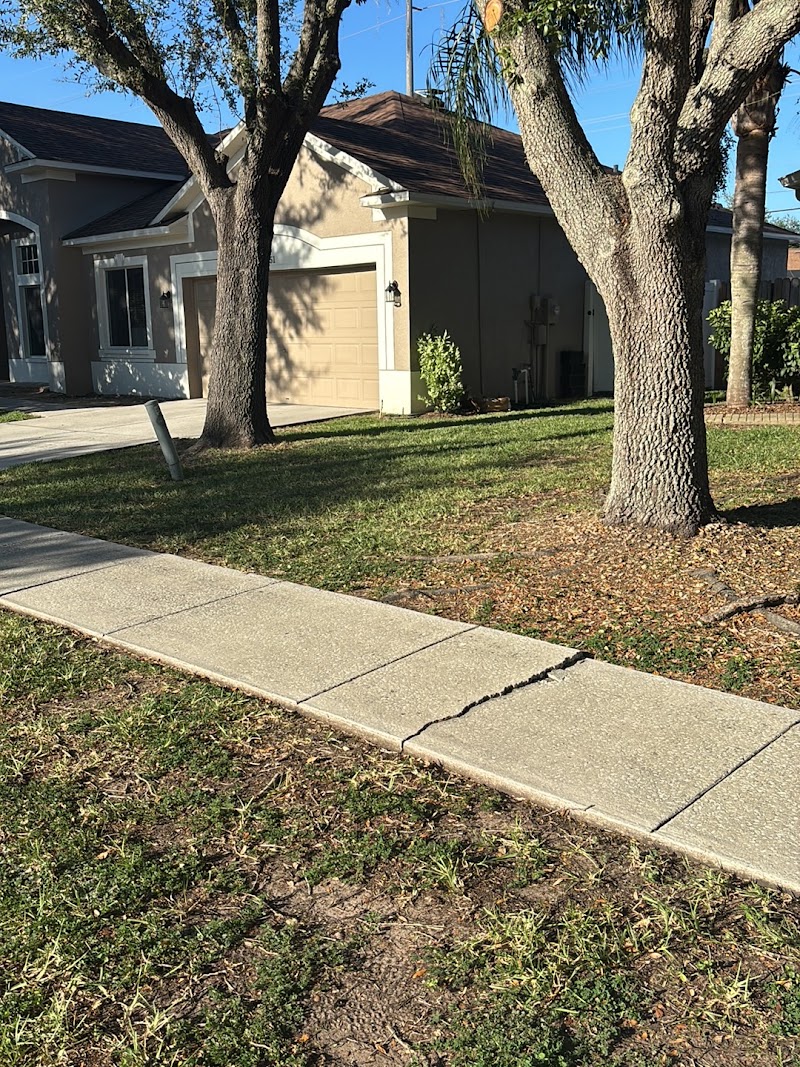 All Trusted Lawn Care photo 5