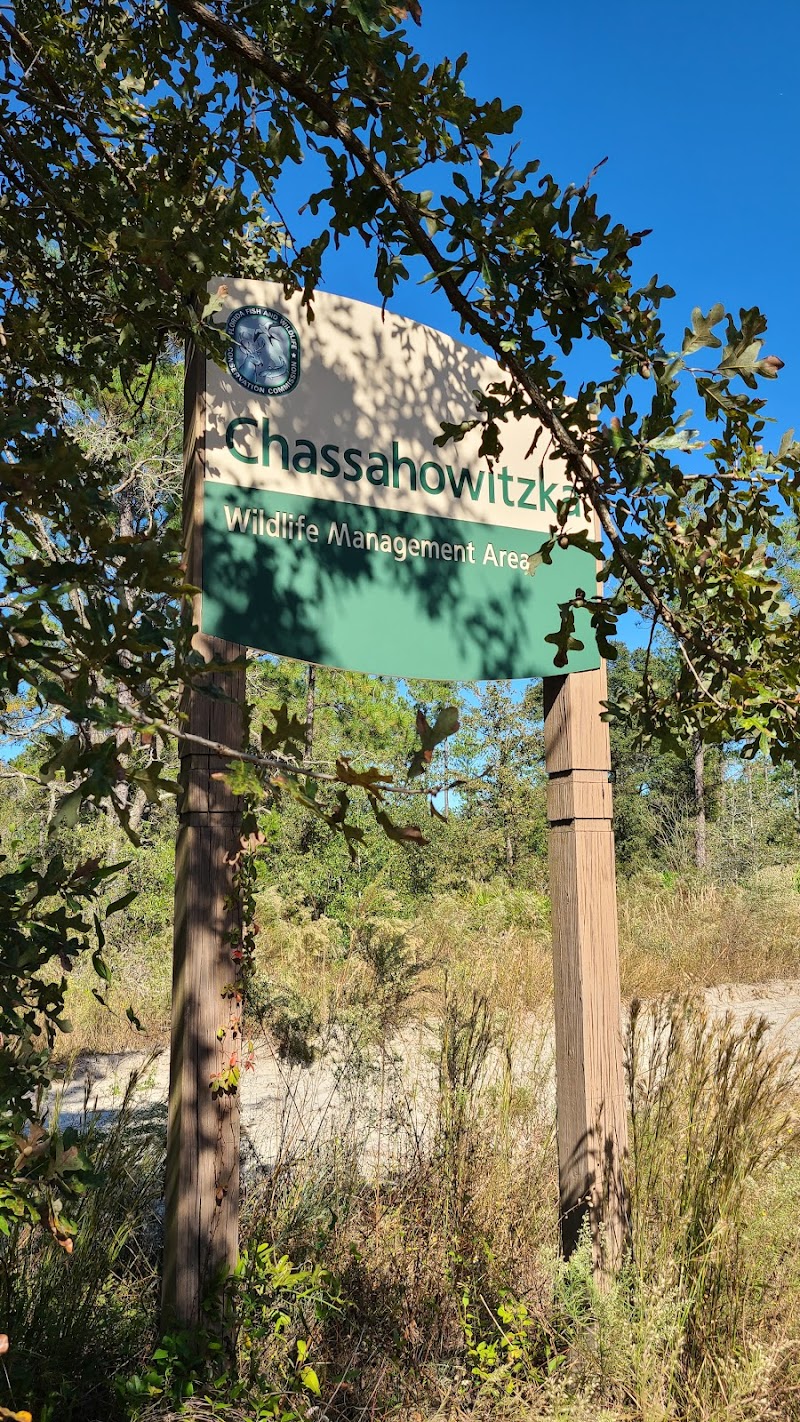 Chassahowitzka WMA / Annutteliga Hammock - Parking photo 2