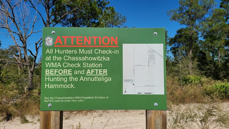 Chassahowitzka WMA / Annutteliga Hammock - Parking photo 3
