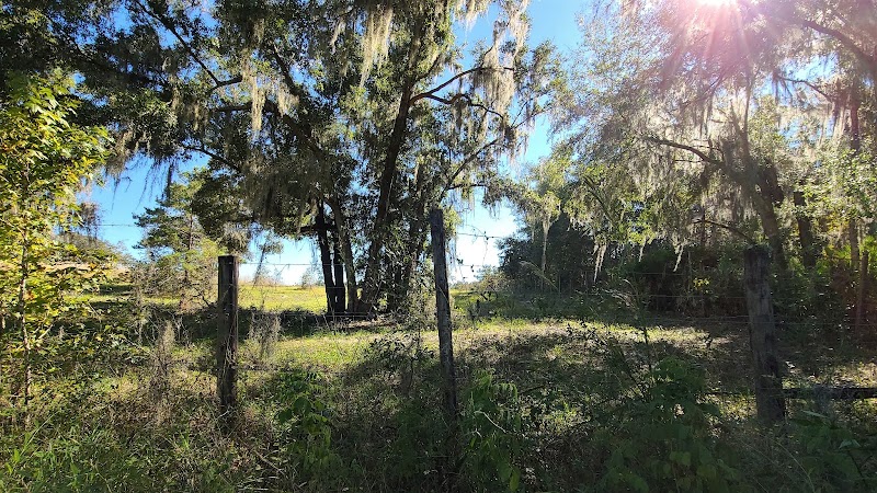 Chassahowitzka WMA / Annutteliga Hammock - Parking photo 5