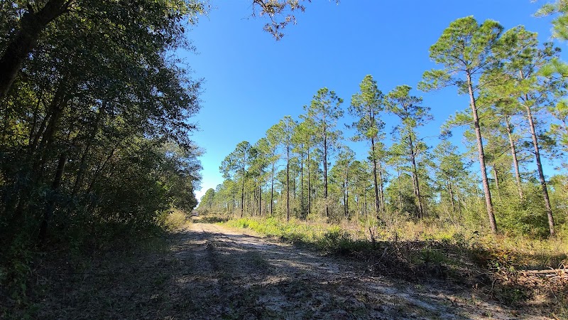 Photo of Chassahowitzka WMA / Annutteliga Hammock - Parking