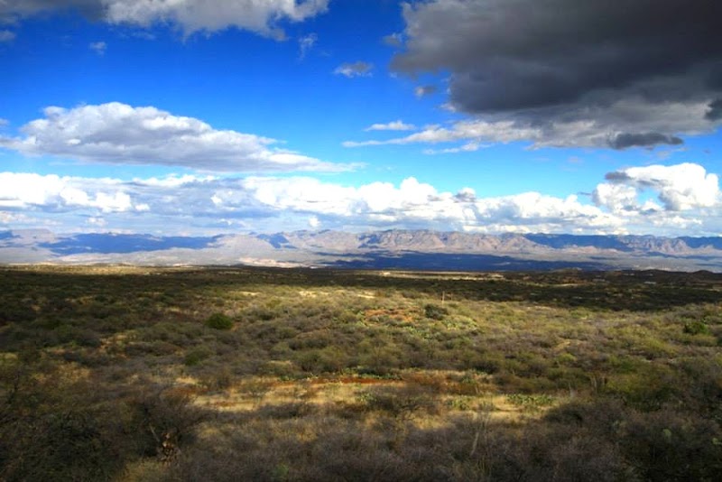 YMCA - Triangle Y Ranch Camp photo 3