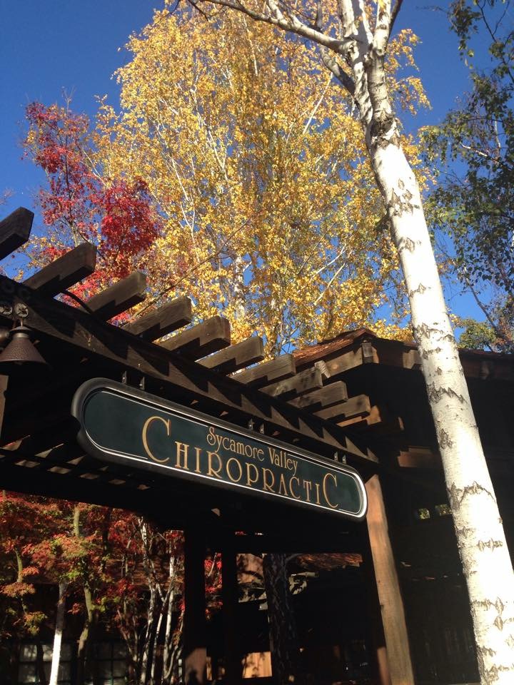 Sycamore Valley Chiropractic photo 3