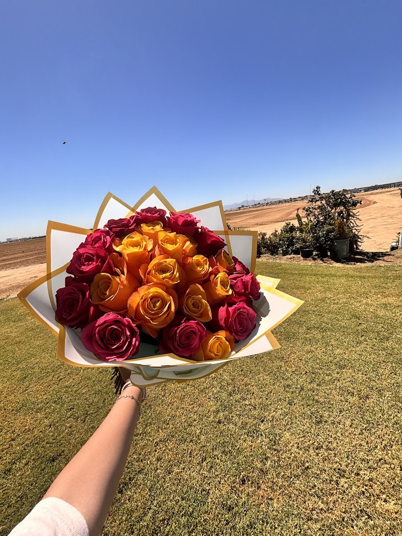 Photo of Enchanted flowers