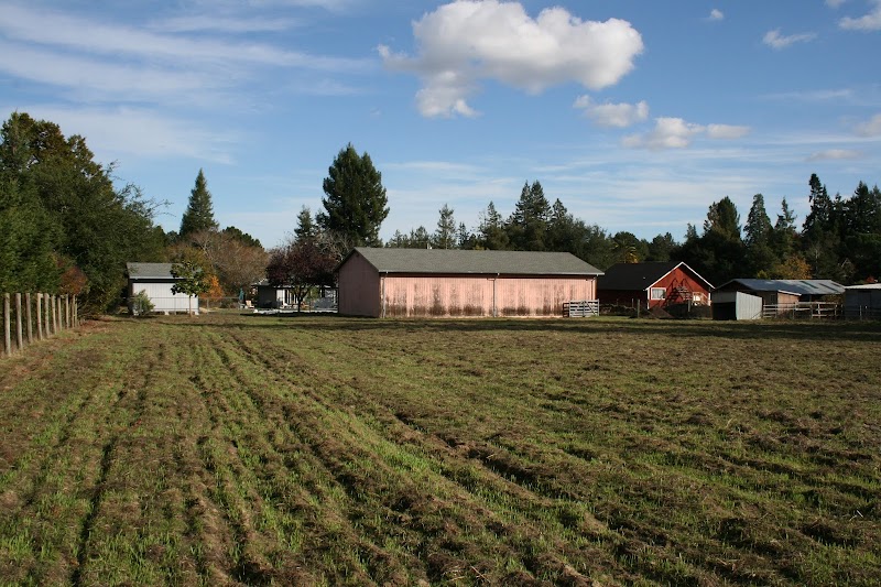 Photo of Pink Barn Farm