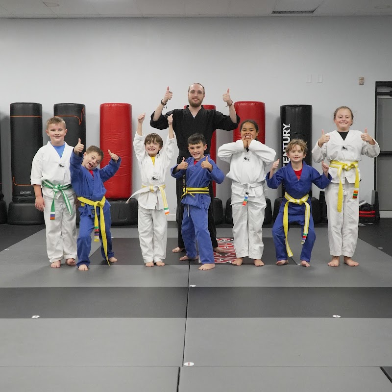 Sidekicks Family Martial Arts Center - Big Bend photo 4