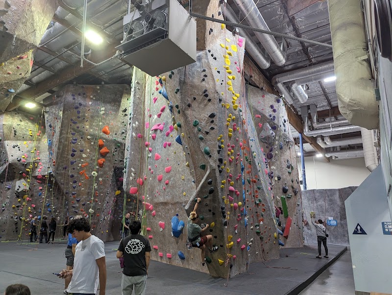 Diablo Rock Gym photo 2