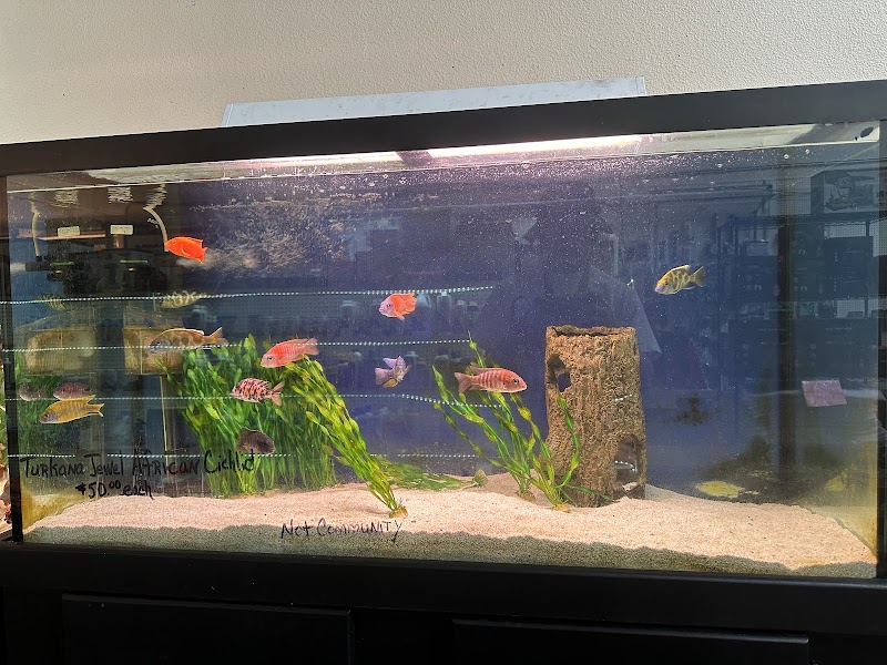 Concord Aquarium photo 4