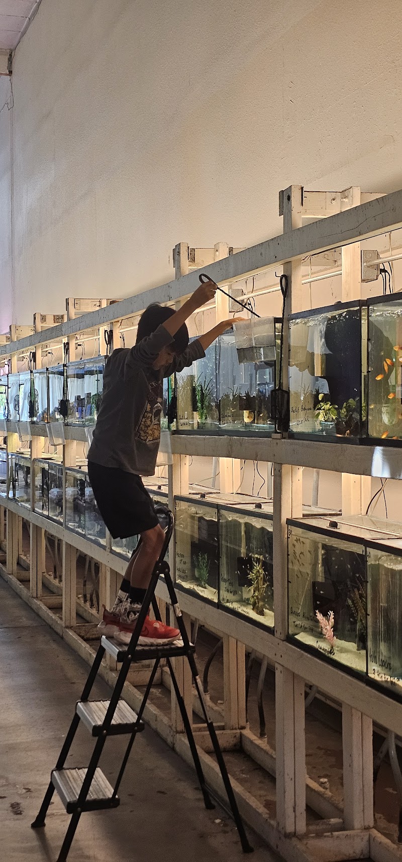 Concord Aquarium photo 3