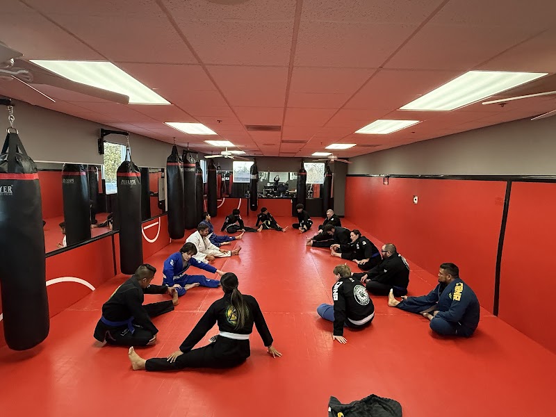 Ferreira Family Fight Academy: Jiu Jitsu, Kickboxing, MMA, Martial Arts, Kids Classes photo 2
