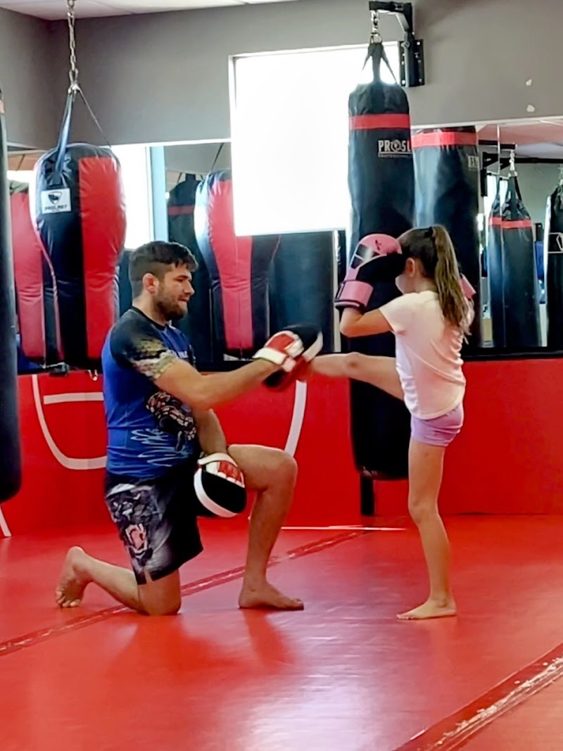 Ferreira Family Fight Academy: Jiu Jitsu, Kickboxing, MMA, Martial Arts, Kids Classes photo 4