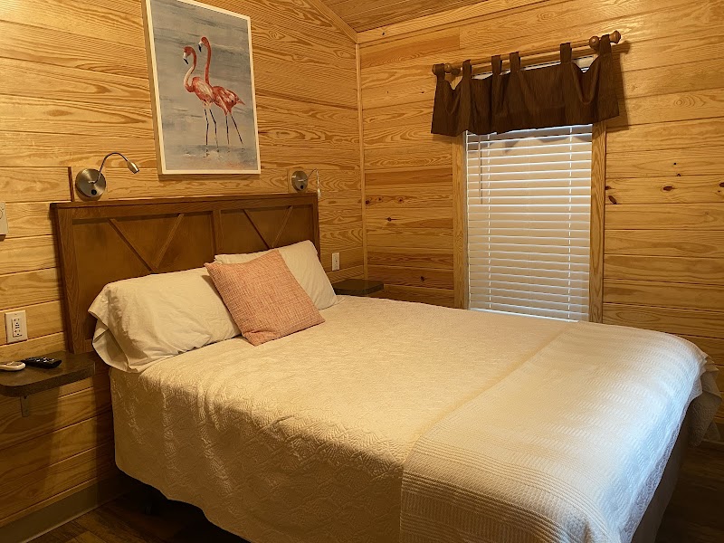 Clearwater / Lake Tarpon KOA Holiday photo 2